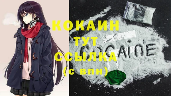 a pvp Няндома