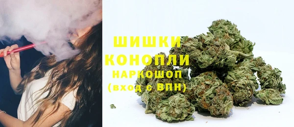 a pvp Няндома