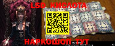 индика Донецк