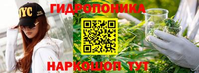 индика Донецк
