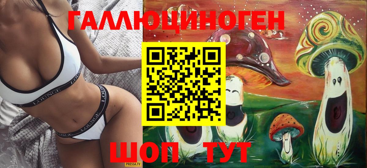 Псилоцибиновые грибы Psilocybe  Псилоцибиновые грибы мицелий  Северобайкальск 