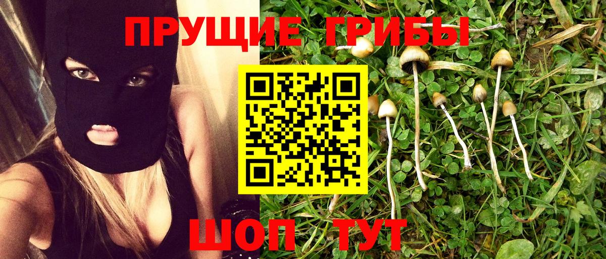 Северобайкальск  Галлюциногенные грибы Psilocybine cubensis  Вход с VPN 