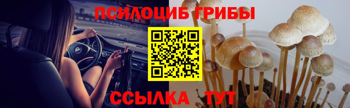 Псилоцибиновые грибы ЛСД Северобайкальск